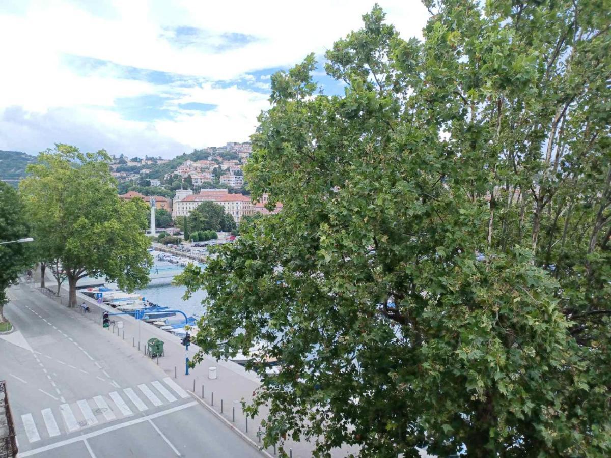 In The Centar * Rijeka