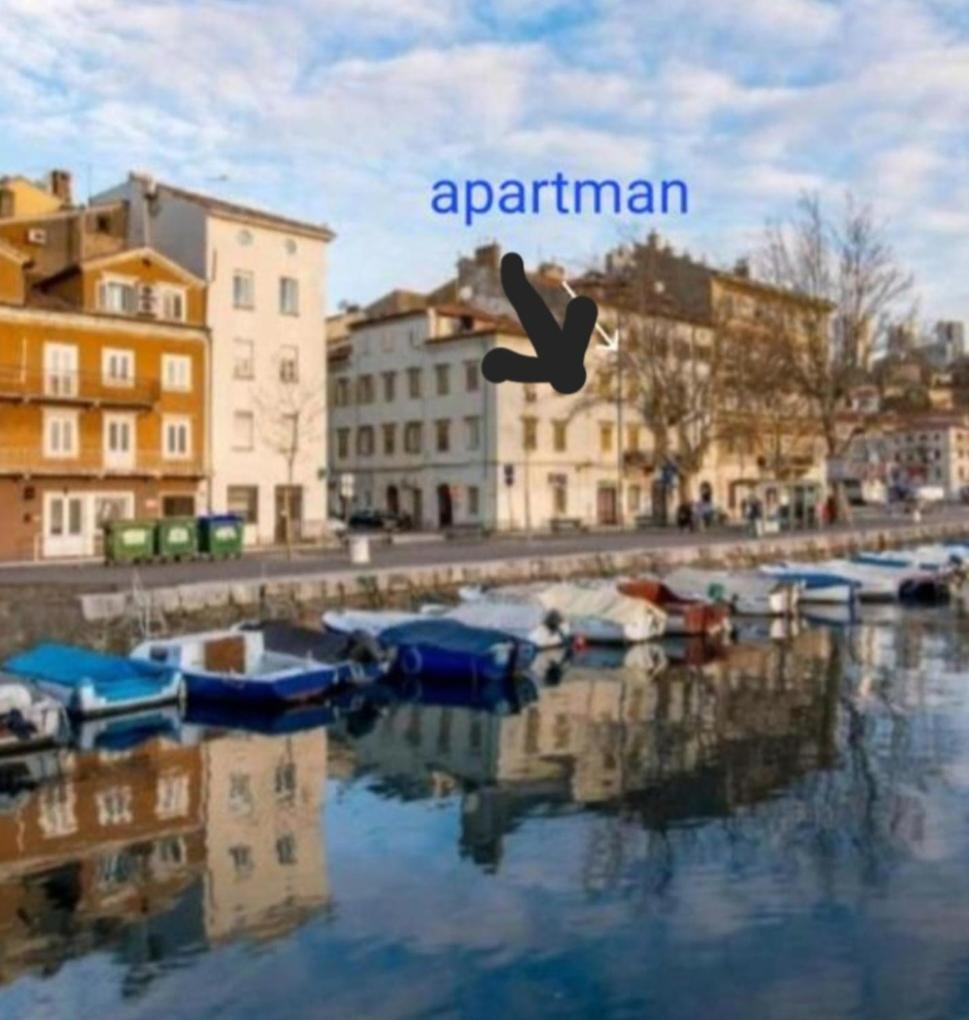 Apartment In The Centar *